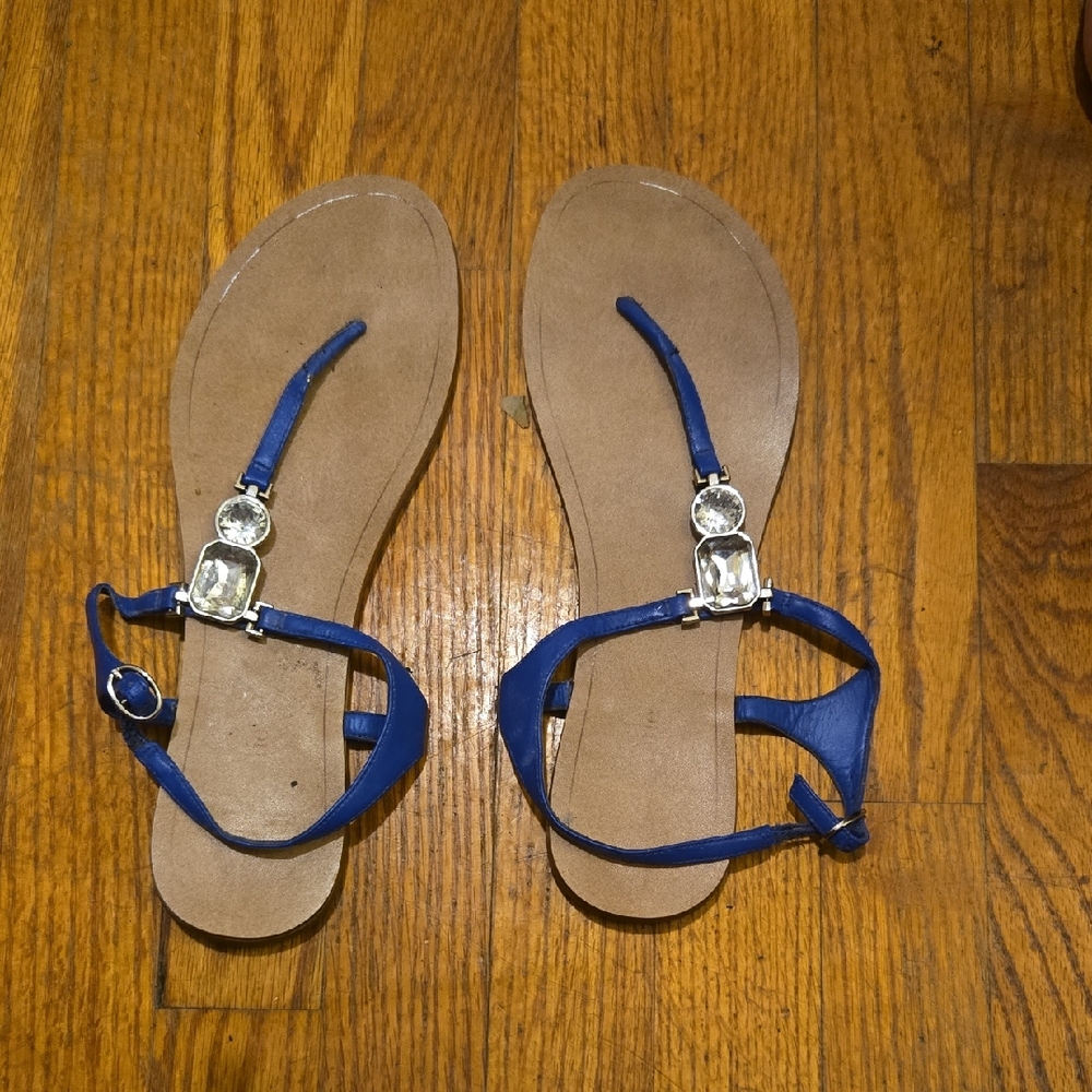 Elegant Blue Women's Sandals